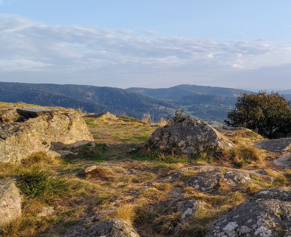 Paysage des vosges